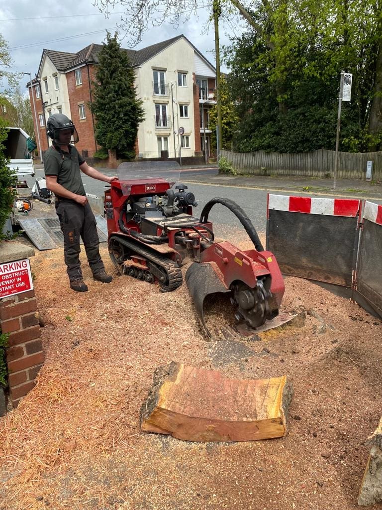 Tree Surgeon using a specialist stump grinder in Rochdale to remove a tree stump for ACC Tree Services