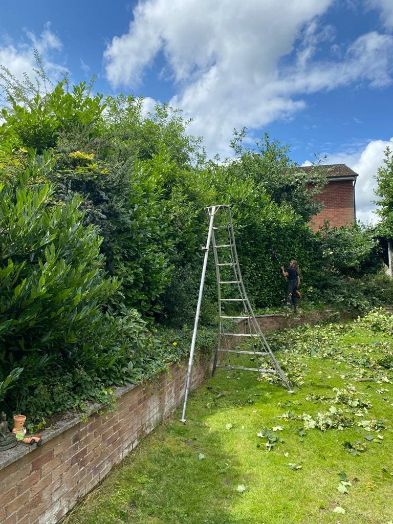 Lauren hedges during hedge trimming in Manchester