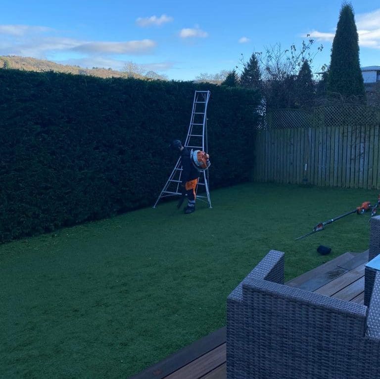 Hedge Cutting in Rochdale, Manchester by ACC Tree Care