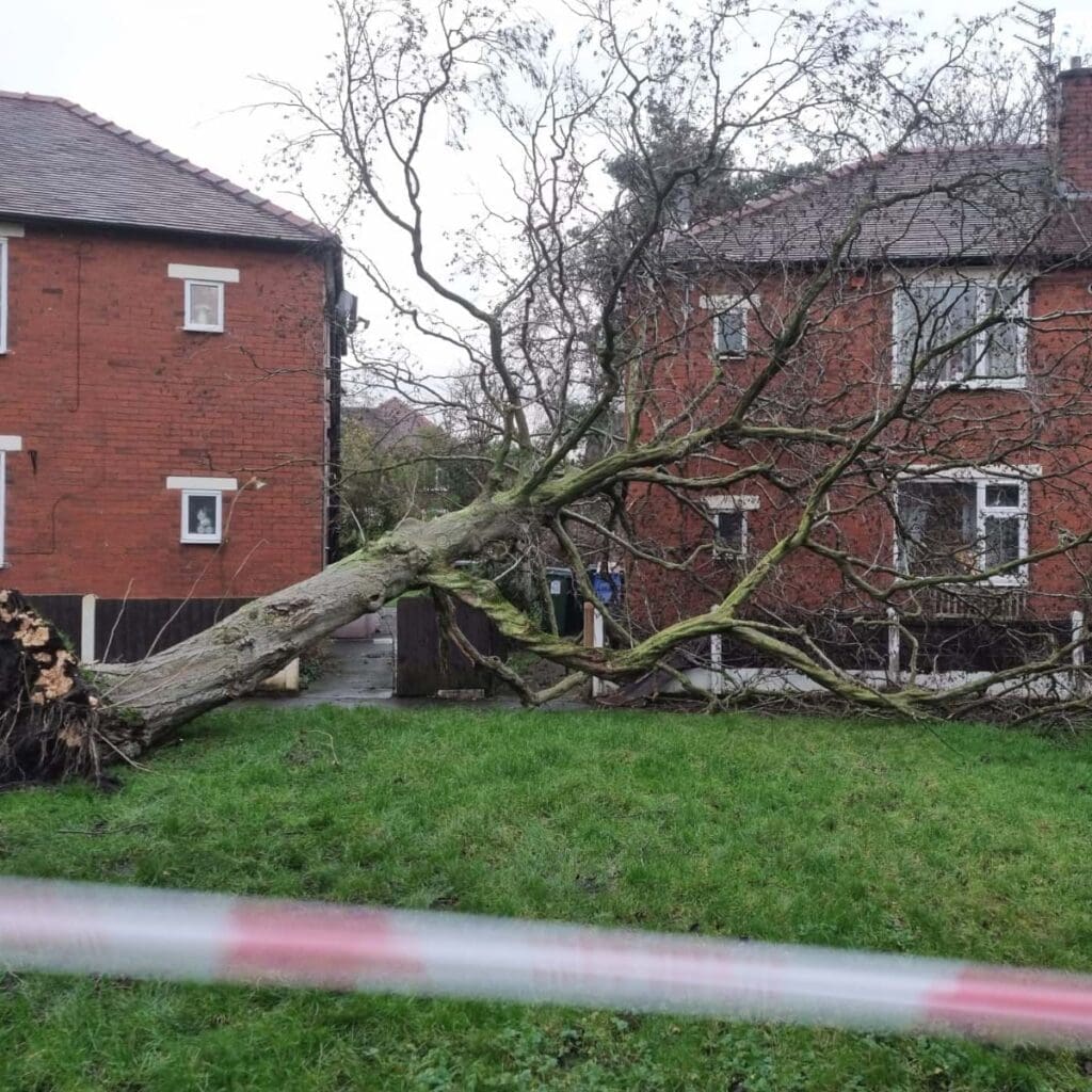 Tree blown over against house in Rochdale